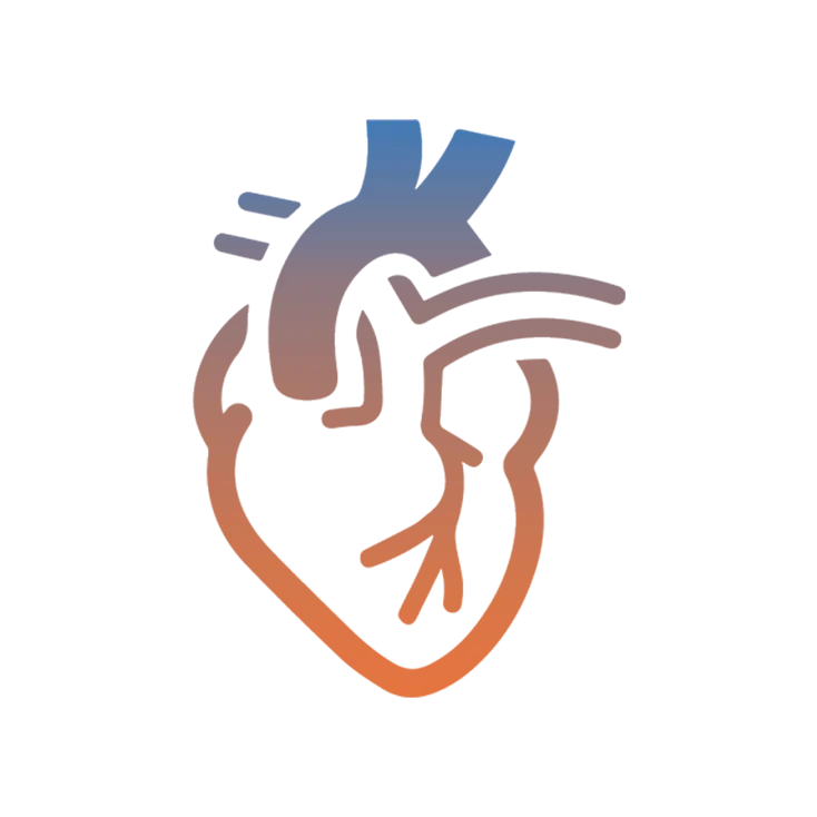 Cardiology