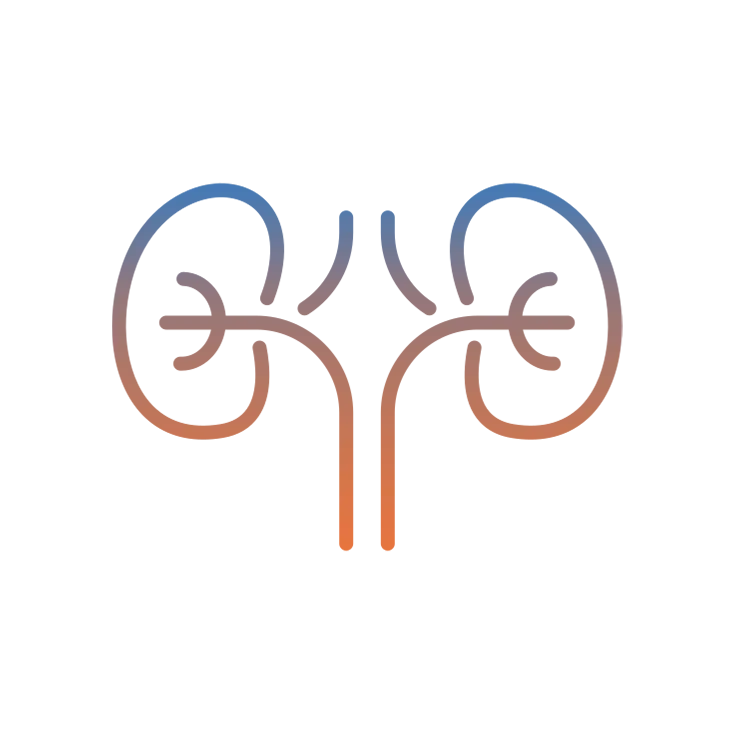 Nephrology