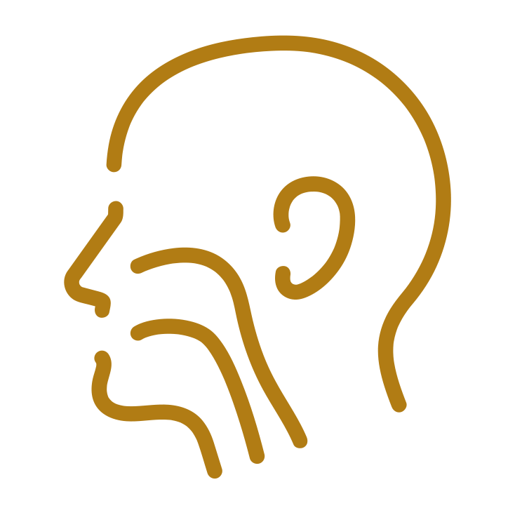ENT, Head & Neck Surgery