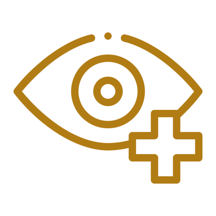 Ophthalmology