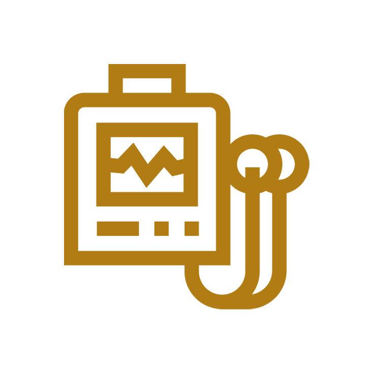 Ultrasound Holter Monitoring