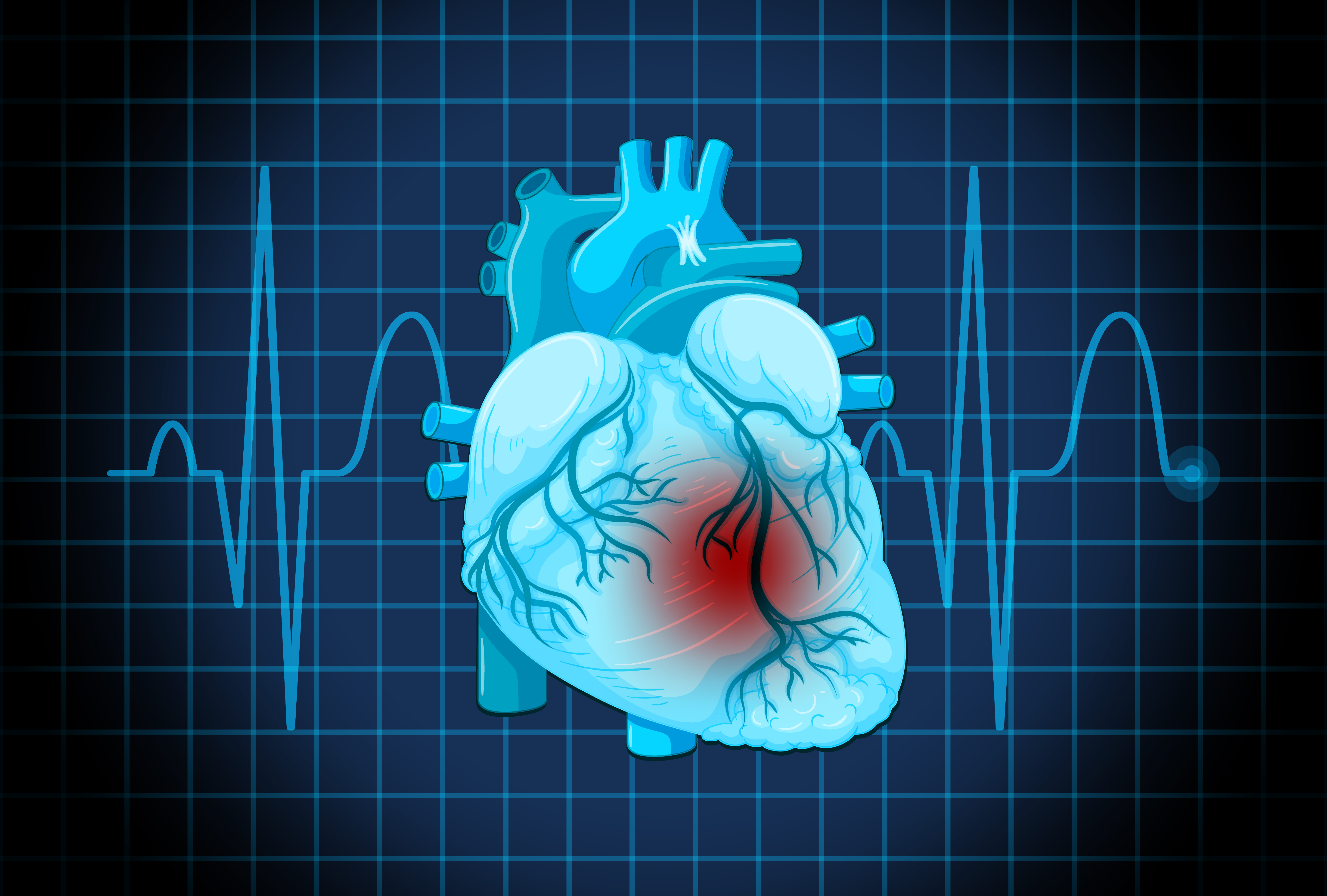 A New Path to Stronger Heart Health