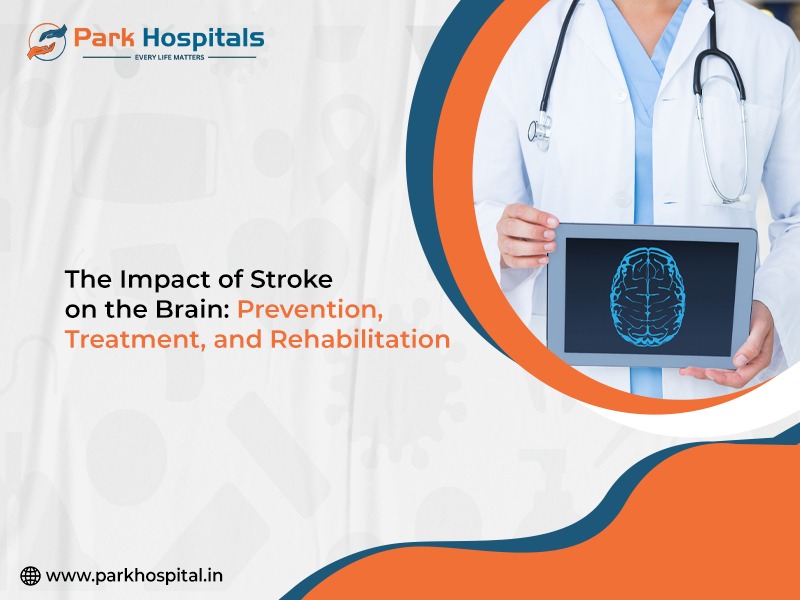 The Impact of Stroke on the Brain: Prevention, Treatment, and Rehabilitation